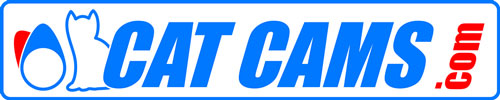 Catcams