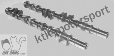 Catcams Sportnockenwellen Clio 3 RS mit VVT