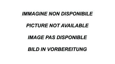 InoxCar Clio 3 RS 197 Endschalldämpfer 63mm Racing Endrohr