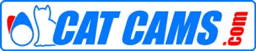 Catcams härtere Ventilfedern F4R Clio 2 RS