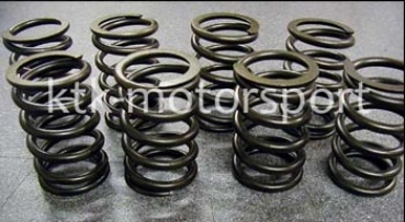 Catcams härtere Ventilfedern R5 GTE