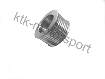 RS Project Aluminium Riemenscheibe Lichtmaschine Clio 3 RS