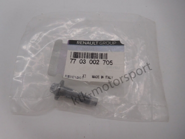 Schraube Ölwanne Clio 3 RS