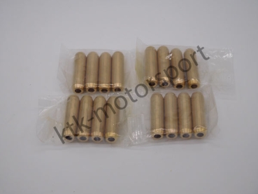 Ventilführungen Clio 3 RS