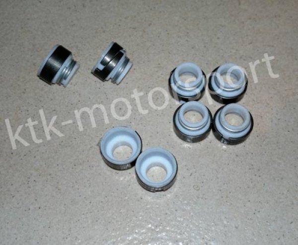 Ventilschaftdichtungen R5 GT Turbo