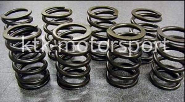 Catcams härtere Ventilfedern R5 GT Turbo