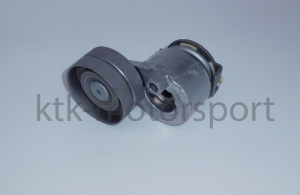 Spanner Kleilrippenriemen Clio 3 RS