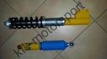 Bilstein Gewindefahrwerk Gr.N Clio Williams mit HA Dämpfer