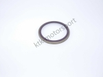 ABS Ring Hinterachse Clio 4 RS