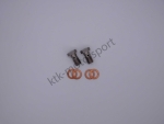 Edelstahl Hohlschrauben Bremsleitung Vorderachse Brembo Megane 4 RS