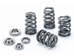 Supertech Ventilfeder Kit 2.0 16V F4R